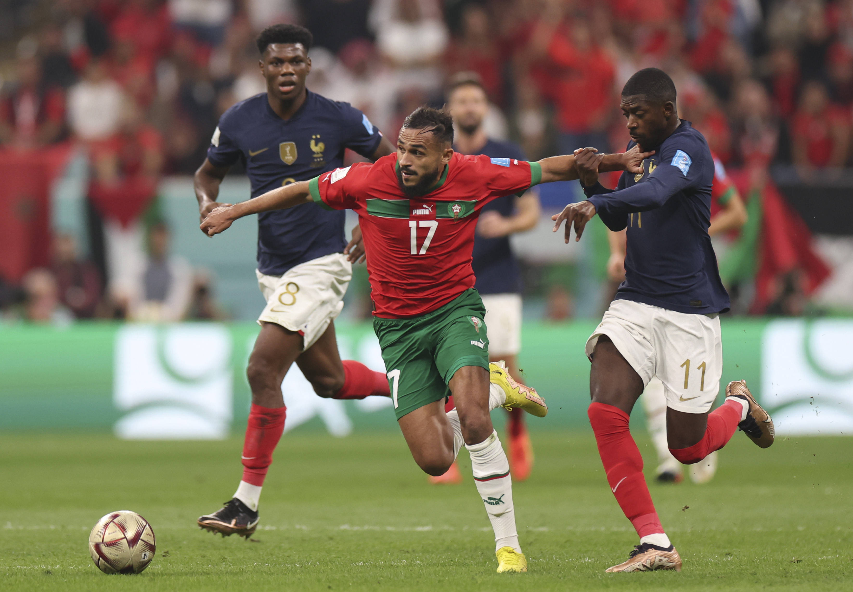 卫冕冠军的 卫冕冠军的