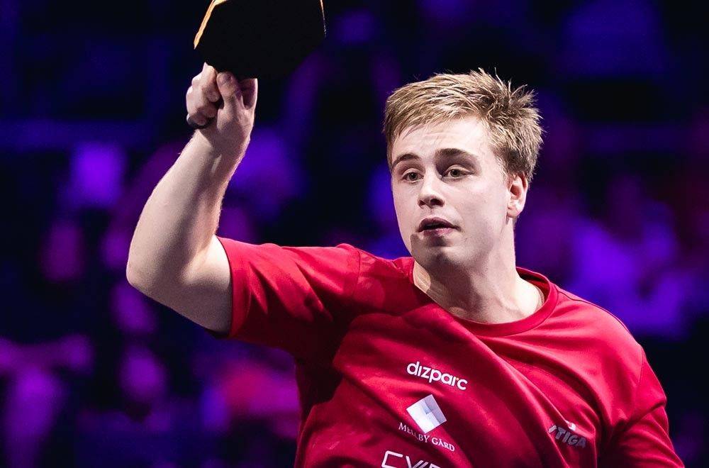 球赛场的人 球赛场的人