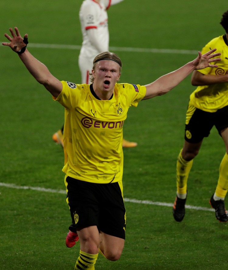 的资深功勋 的资深功勋